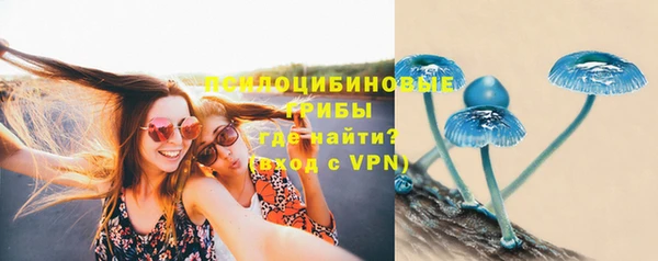 ALPHA PVP Арсеньев