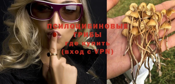 ALPHA PVP Арсеньев