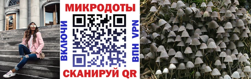 Галлюциногенные грибы ЛСД  дарнет шоп  Орлов 